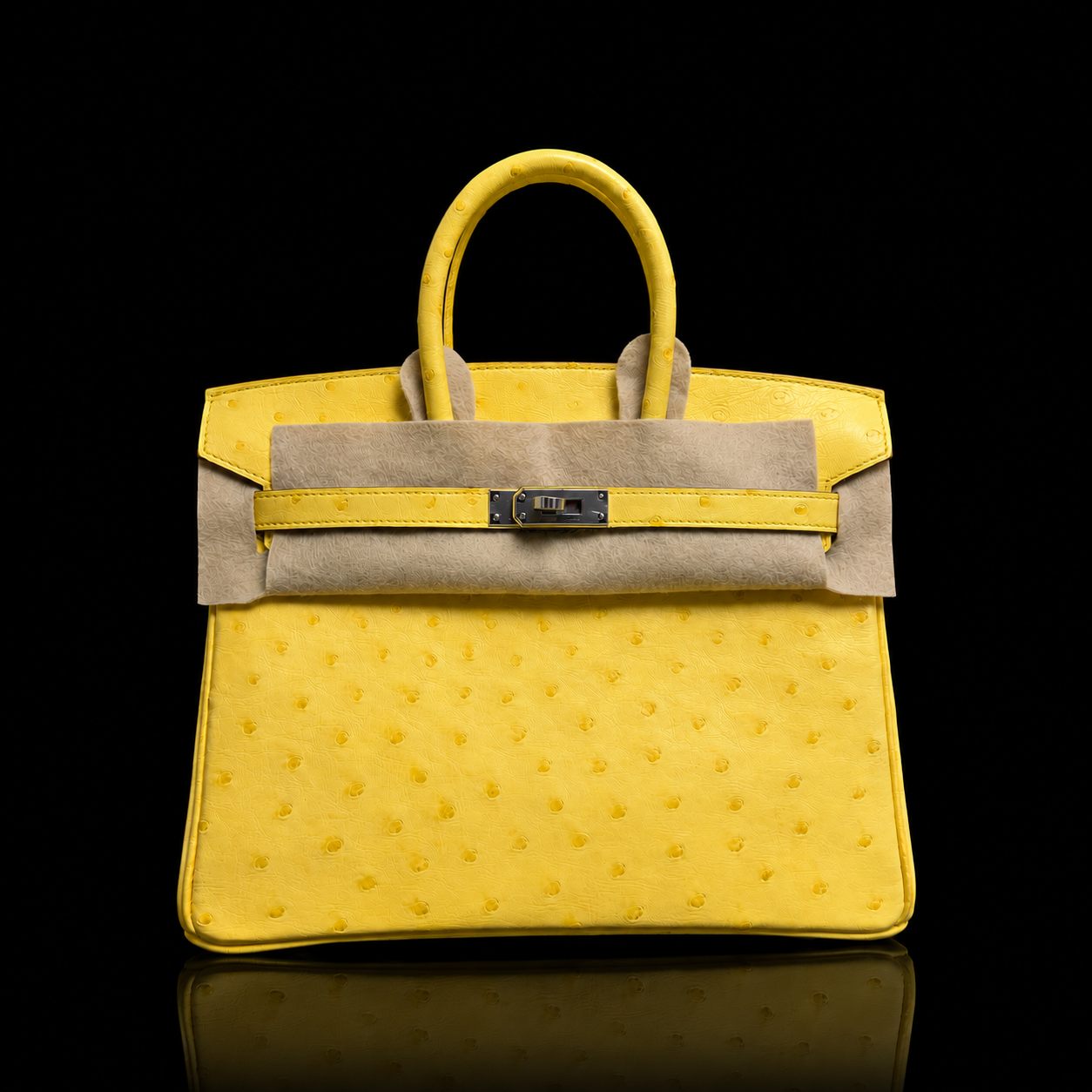 Hermès Birkin 25 Ostrich – Citron (Yellow) PHW